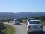 Elephant traffic jam
