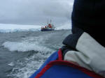 Antartic