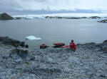 Antartic