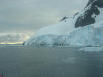 Antartic