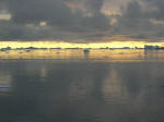 Antartic