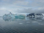 Antartic