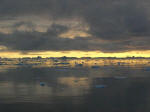 Antartic