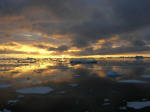 Antartic