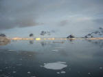 Antartic