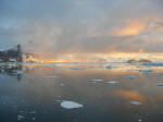 Antartic