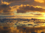 Antartic