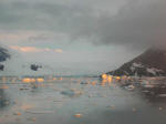 Antartic