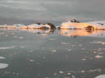 Antartic
