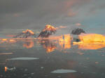 Antartic