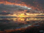 Antartic