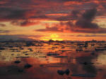 Antartic