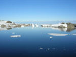 Antartic