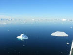 Antartic