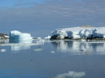 Antartic