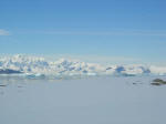 Antartic