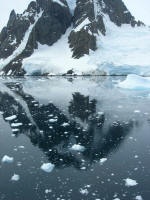 Antartic