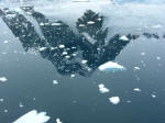 Antartic