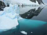 Antartic