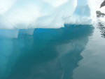 Antartic