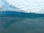 Antartic