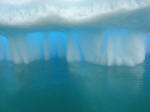 Antartic
