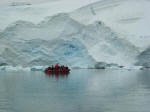 Antartic