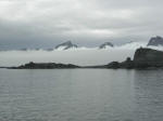 Antartic