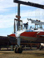 Aransas going back into the water
