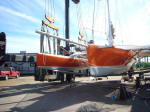 Aransas on the cradle