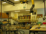 Dinosaur Museum at Trelew