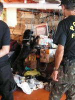 Drug-sniffing soppy black lab on the Amazon boat
