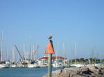 Going for a sail