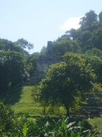 Mayan ruins at Palenque 