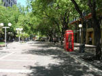 Phone box in leafy Mendoza