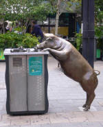 Bronze Pig