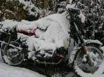 Snowed in